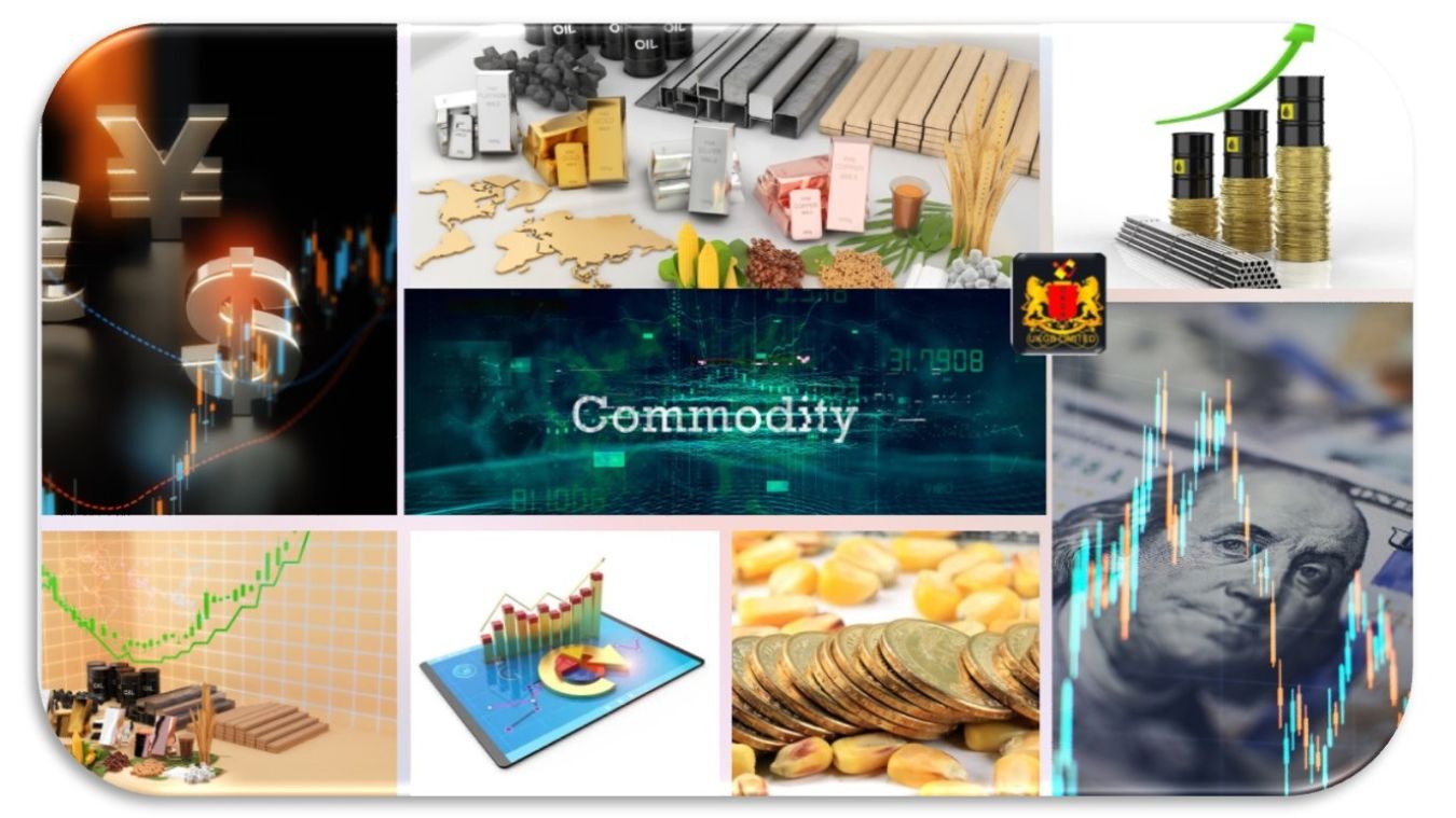 COMMODITIES FROM BRAZIL